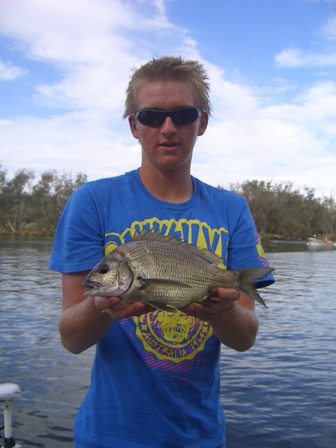 bream from the murray